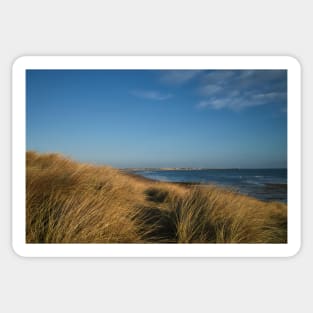 From the Seaton Sluice Sand Dunes Sticker